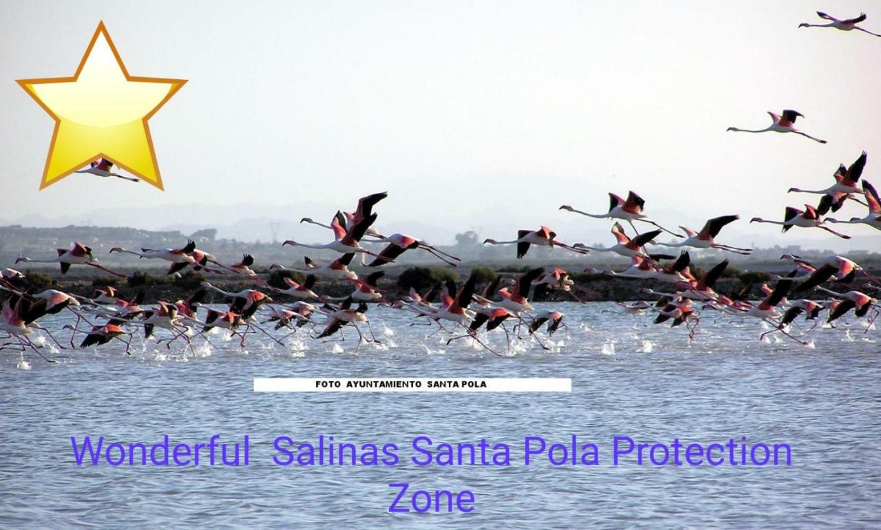 Playa 500M Y Centro Pueblo 600M, Piscina, 4 Clim, 2 Parkings Lägenhet Santa Pola Exteriör bild